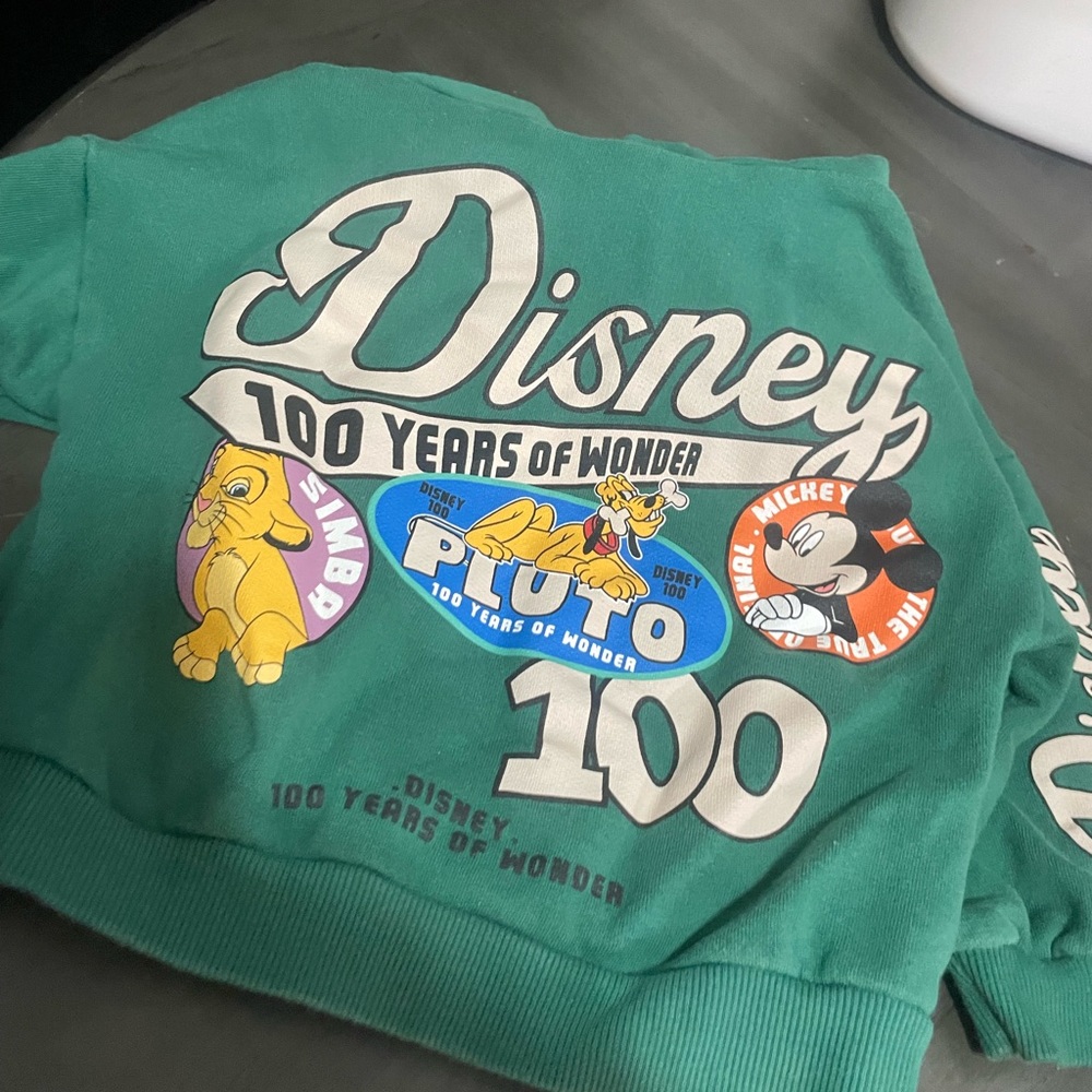 Zara Toddler Sweater